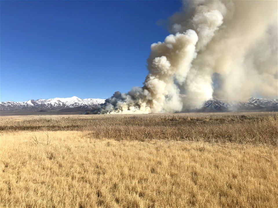 Landscape Category - USFWS 2022 Photo/Video Contest