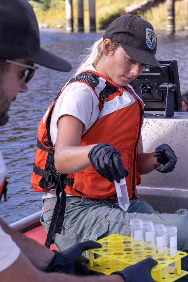 Invasive Carp eDNA Sampling on the James River in South Dakota.