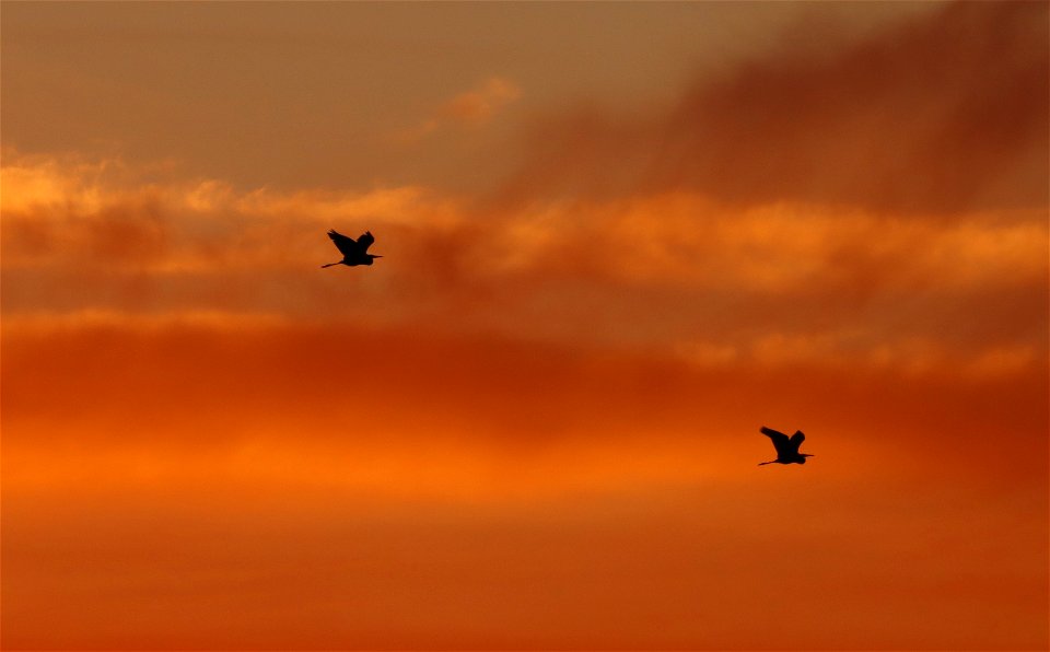 Sunset at Huron Wetland Management District South Dakota