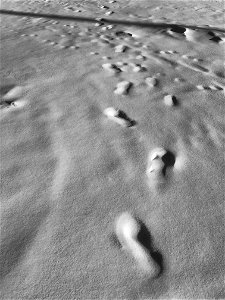 Ghost Prints