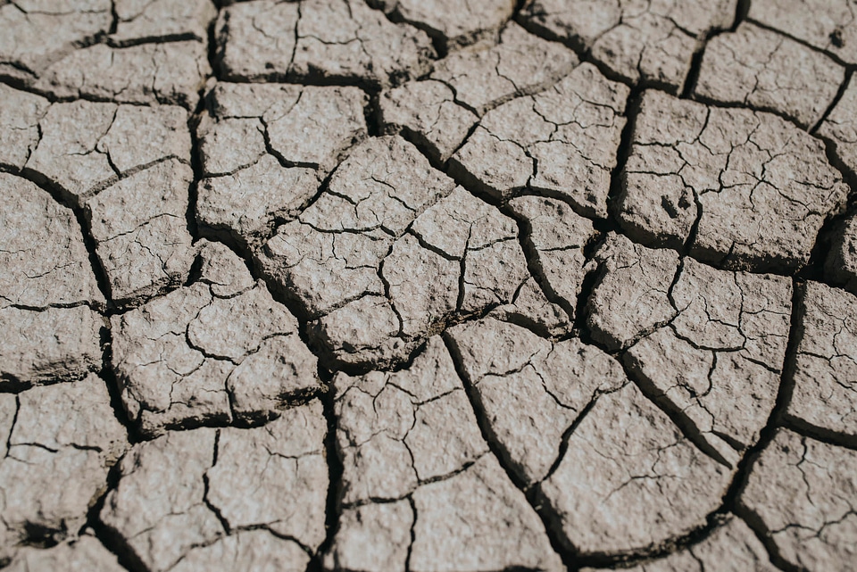 Drought In The Summer