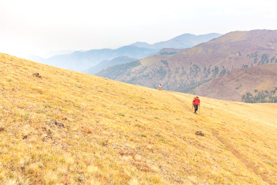 Shoshone National Forest, Sunlight Creek Trail: final switchbacks (2)