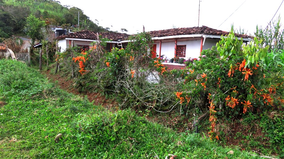 alto de la Quiebra-fincas del camino photo