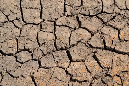 Free textures with cracks