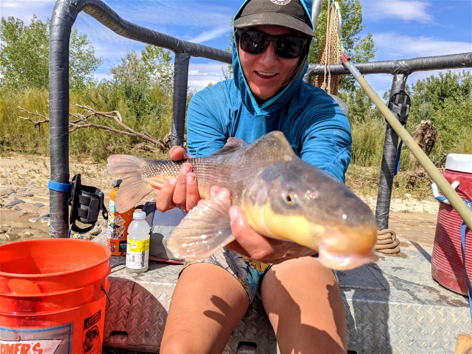 San Juan River Sampling