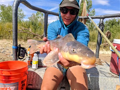 San Juan River Sampling photo