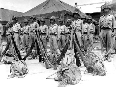 SC 334583 - Troops of the 2nd Battalion, 7th Regiment, 6th Division, stand ready for an inspection by the Korean Minister of Defense and members of the U.S. Military Advisory Group to the Republic of Korea. 21 July, 1949.