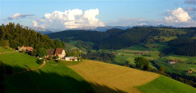 DSC08184