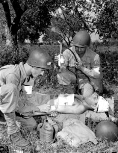 SC 179888 - Part of the training program received by the Medical Group at Camp Ellis, Ill., concerns the orientation given other groups such as engineers, quartermasters, signal corps, etc...