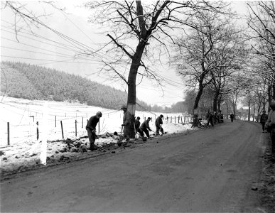 SC 334955 - U.S. Army combat engineers work at side of a frozen road in Hurtgen Forest area, Germany. 5 January, 1945. photo