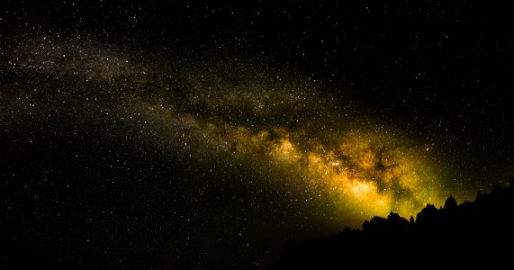 Milky Way over Juniper Stand photo