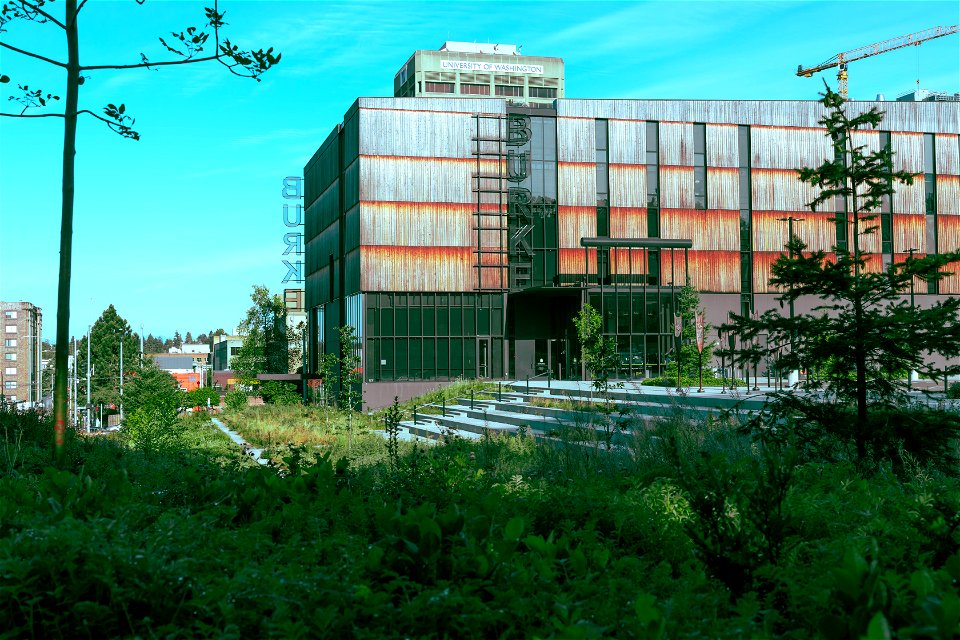 Burke building and surroundings