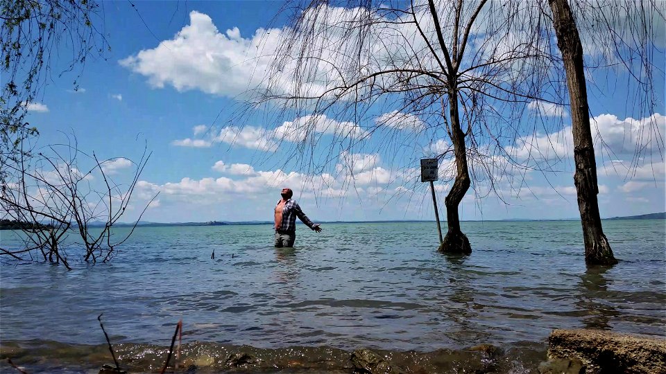 Lake Trasimeno photo