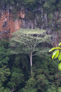 ZZIMG_8381