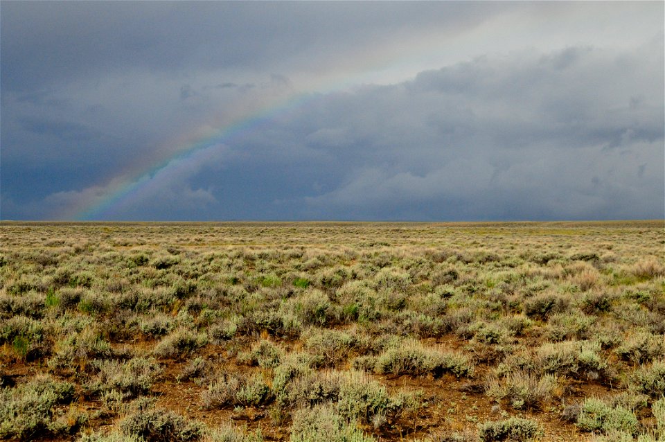 Rain in the sage steppe at Seedskadee National Wildlife Refuge Wyoming