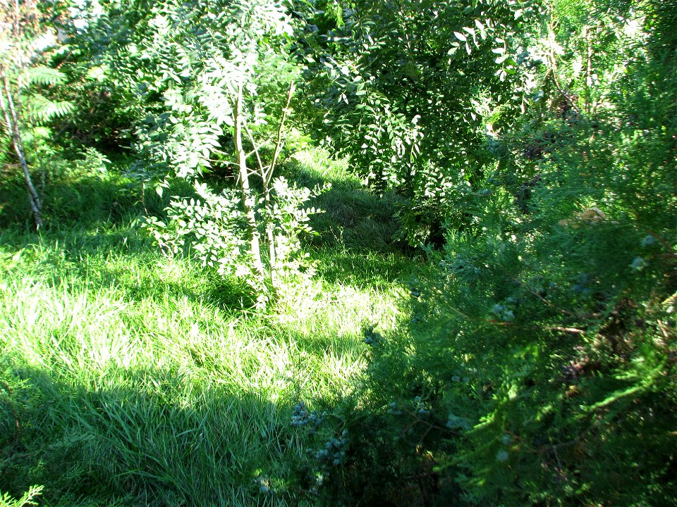 Panorama from panduri (76)