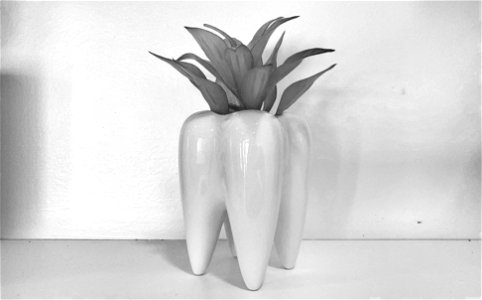 Dental Flourish