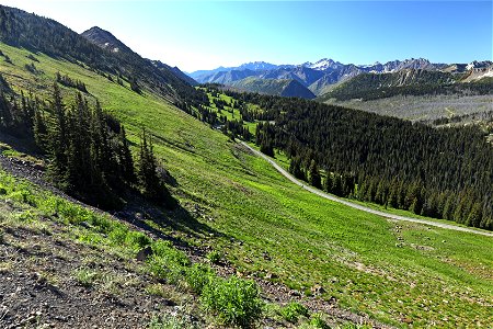 HART PASS - SLATE PEAK (07-19-2022) okanogan co, wa -02bab photo