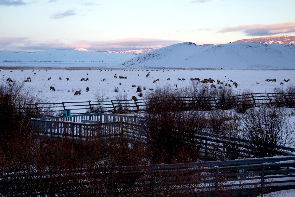 Bert's Bench on the National Elk Refuge