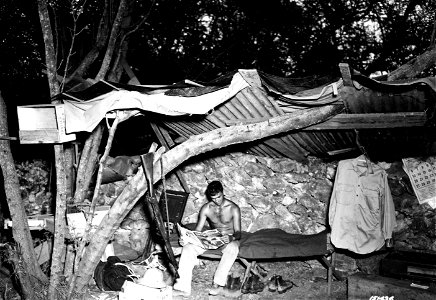 SC 151436 - Pvt. Cecil Breer, living in the field. Hawaii.