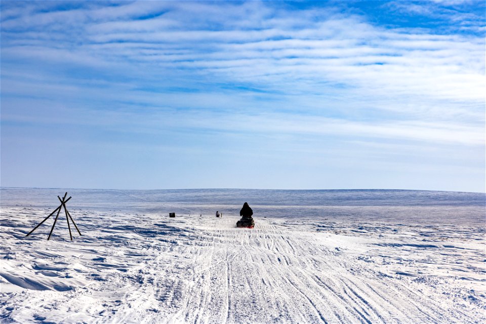 Snowmachine travel on Selawik National Wildlife Refuge. photo