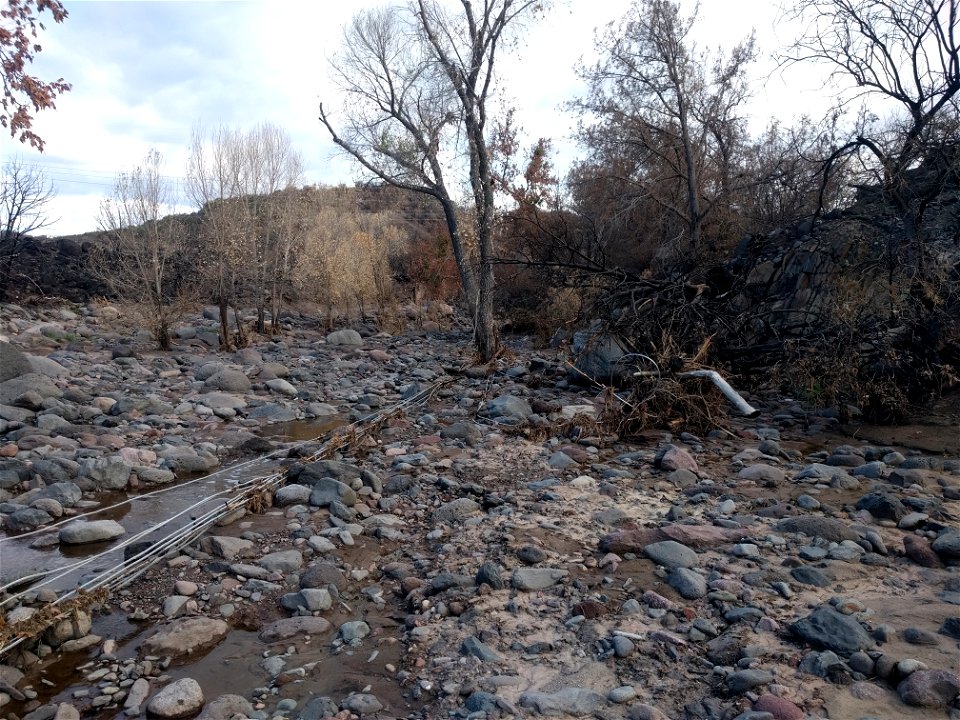 Downed powerlines
