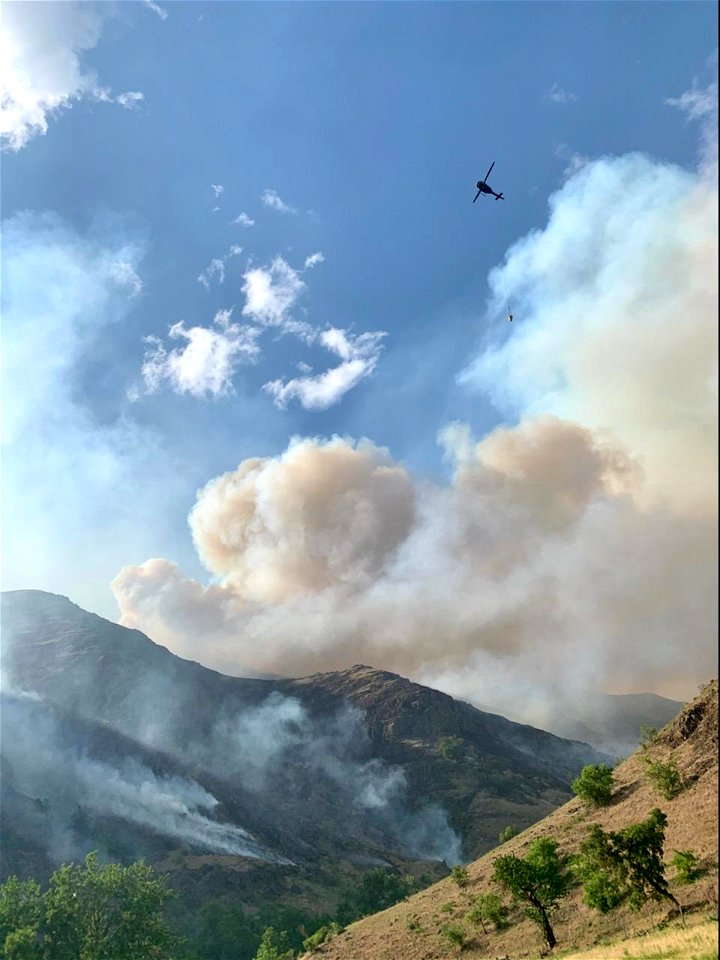 Joseph Canyon Fire