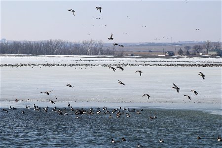Waterfowl Lake Andes National Wildlife Refuge South Dakota photo