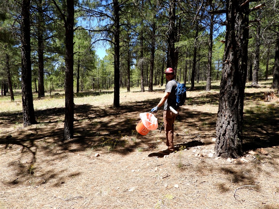 Pickin' Up in the Pines May 2022