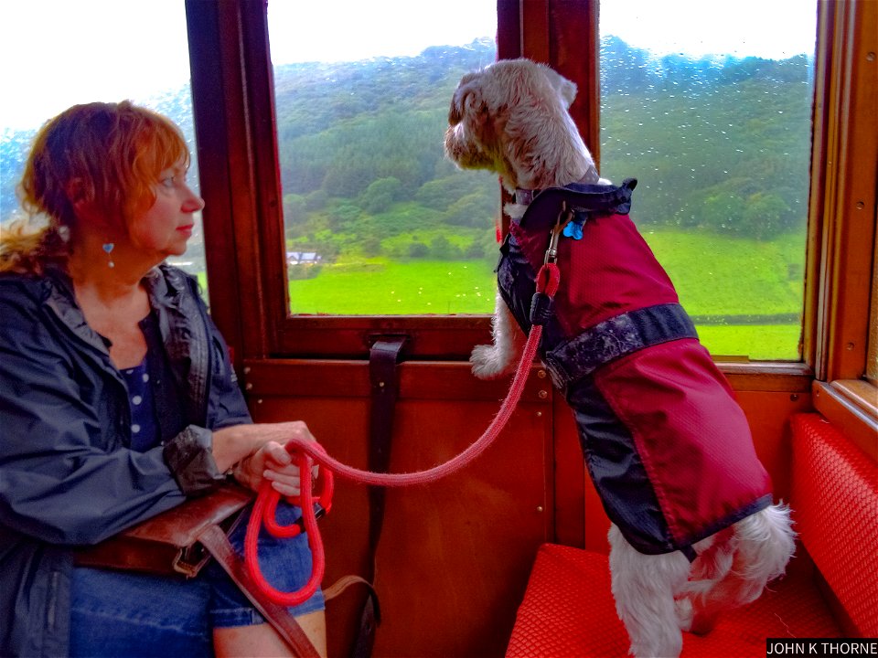 Looking out the train window. Talyllyn Railway