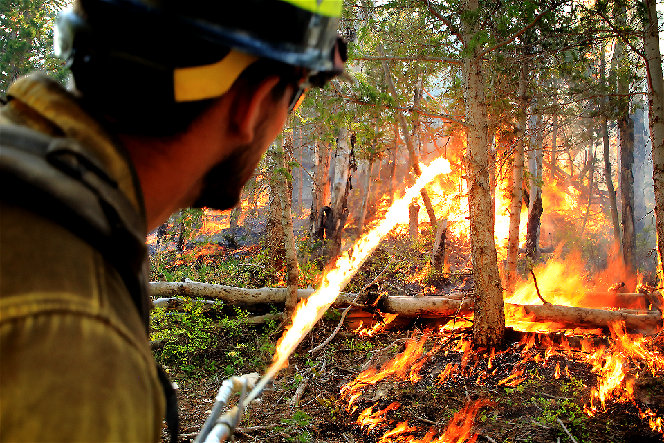 Fuels Management, Terra Torch