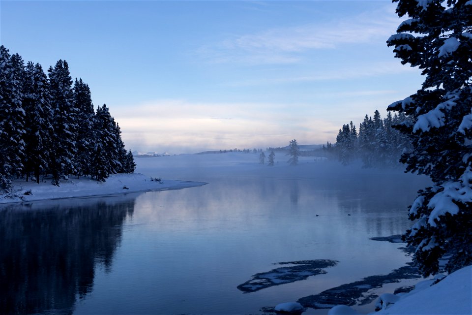 Fog on the Yellowstone River north of Hayden Valley