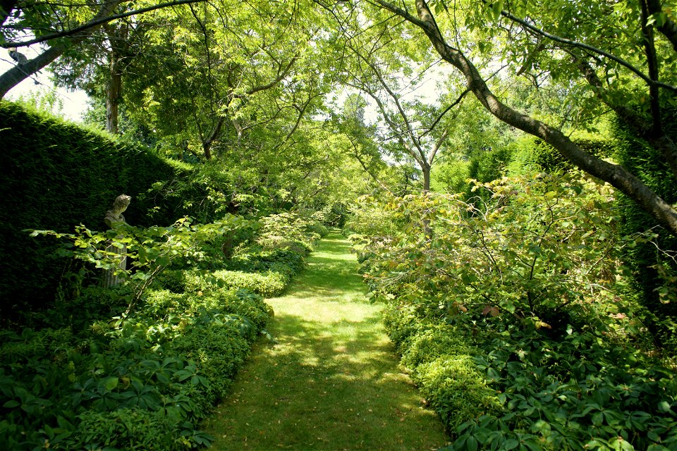 The winter garden in summer