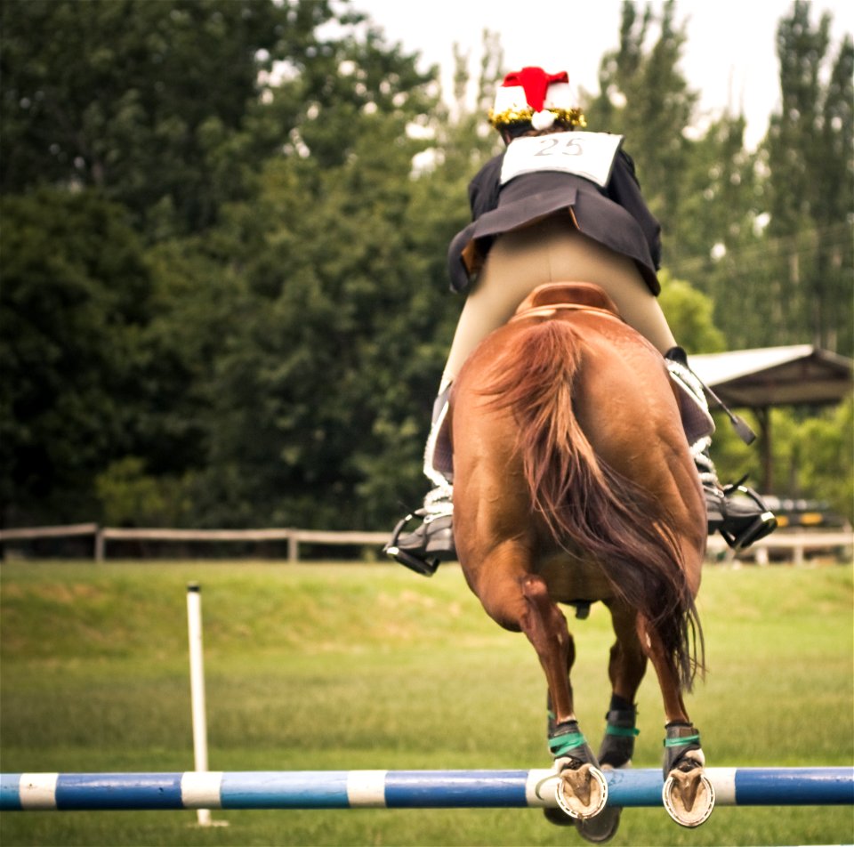 I saw Santa show-jumping
