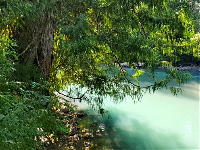 White River on Wenatchee River Ranger District, Okanogan-Wenatchee National Forest