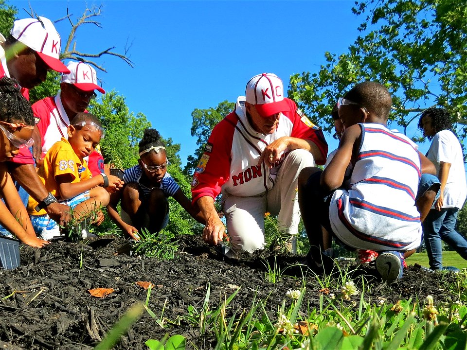 Planting for Butterflies