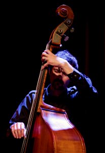 Giovanni Guidi Trio 28 april 2016 BIM Amsterdam - Nicolai Munch Hansen photo