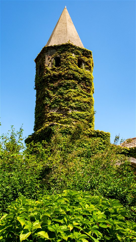 DSCF5411