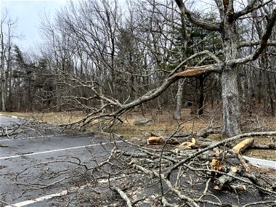 Hawksbill Parking Lot