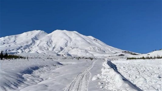 Avalanche in Muddy River drainage. Gifford Pinchot National Forest