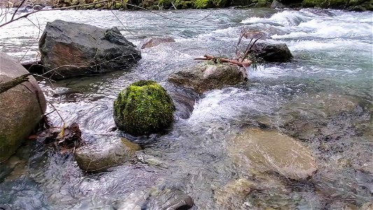 Illabot Creek, Mt. Baker-Snoqualmie National Forest. Video by Anne Vassar December 10, 2020. photo