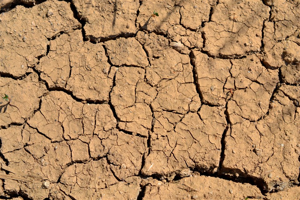 Free textures with cracks