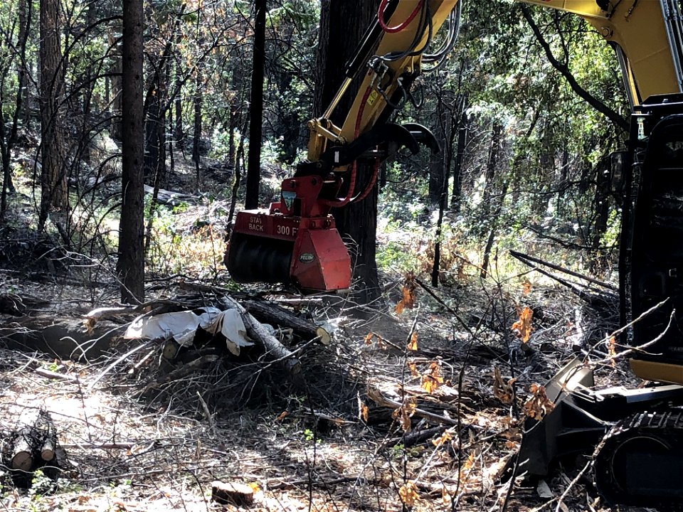 Mastication work at 'Inimim Forest