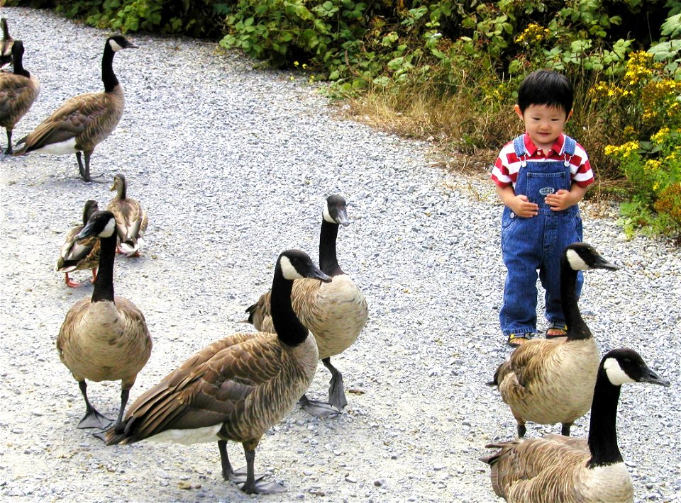Jay's Pic - Bird Sanctuary 01