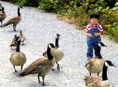 Jay's Pic - Bird Sanctuary 01