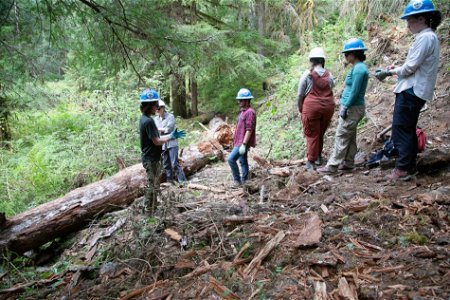 2-video-PNTA-Swift Creek Tr-Timelapse-Mt Baker
