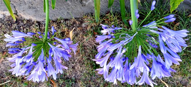 IMG_20220813_190119
