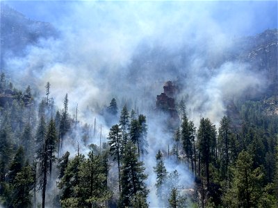 Miller Fire (2023) photo