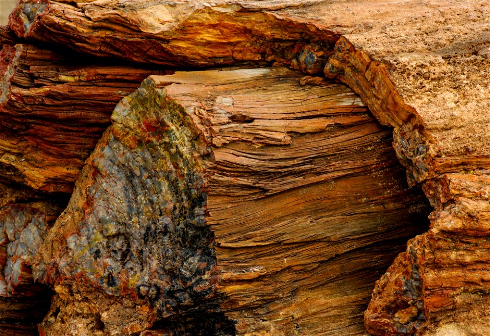 Closeup petrified wood texture, NPS-Stuart Holmes