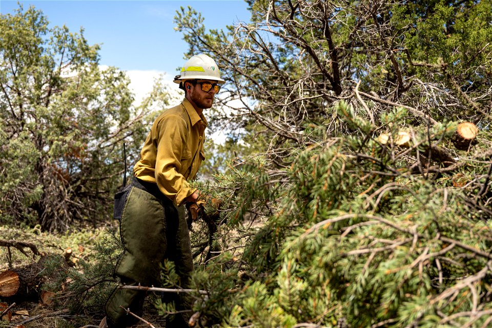 New Mexico Fuels Project